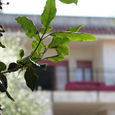Villa Il Giovane Alloro Martina Franca Luaran gambar
